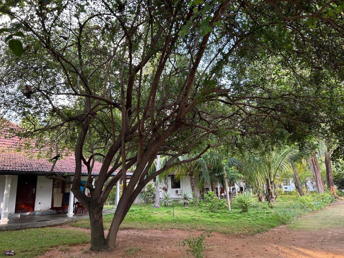 108 Palms Beach Resort Trincomalee Esterno foto
